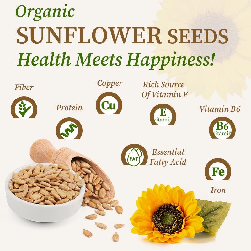 Nutritions in Sunflower Seeds - Organic Gyaan