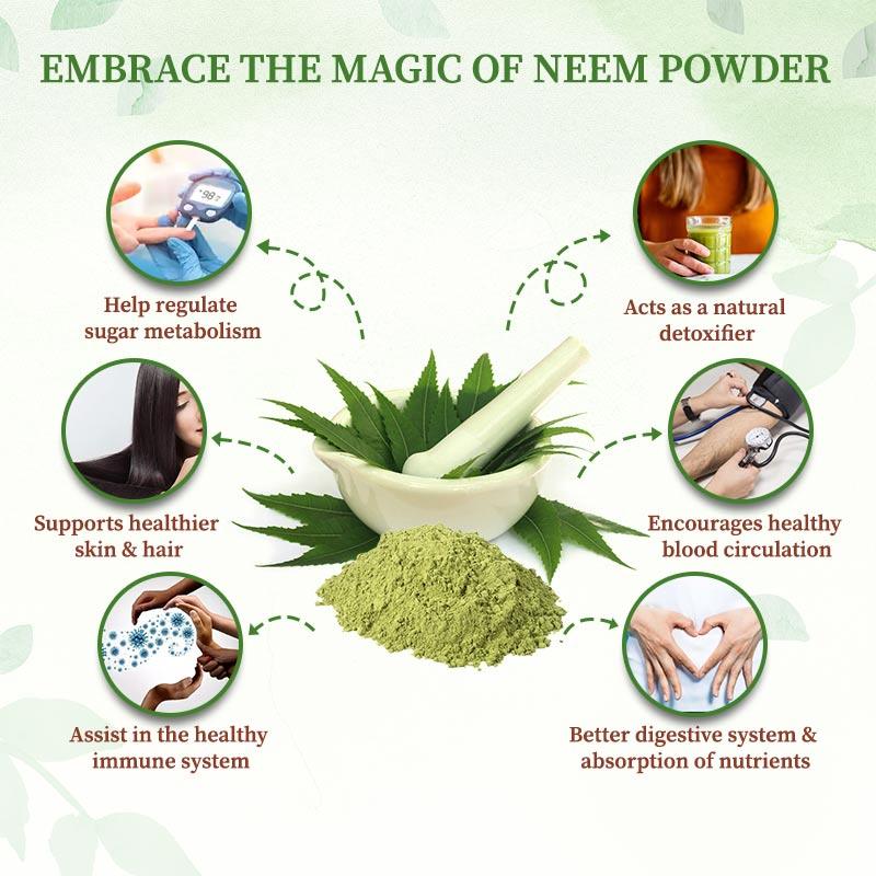 Buy Neem Powder Online for Holistic Health – Organic Gyaan
