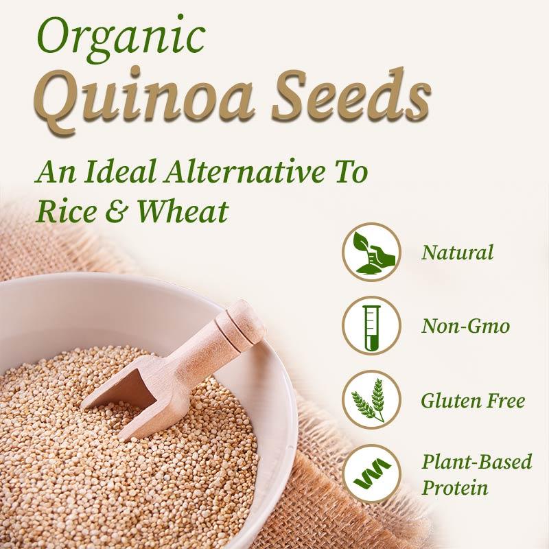 Organic quinoa seeds 