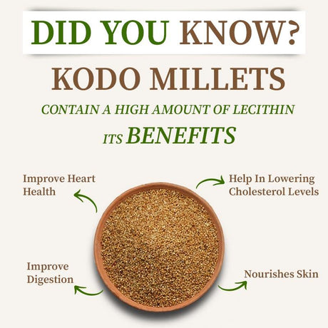 Kodo millet rich in lecithin