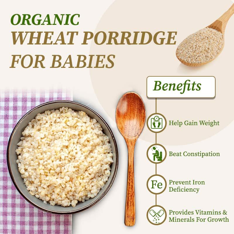 Wheat porridge benefits for Babies 