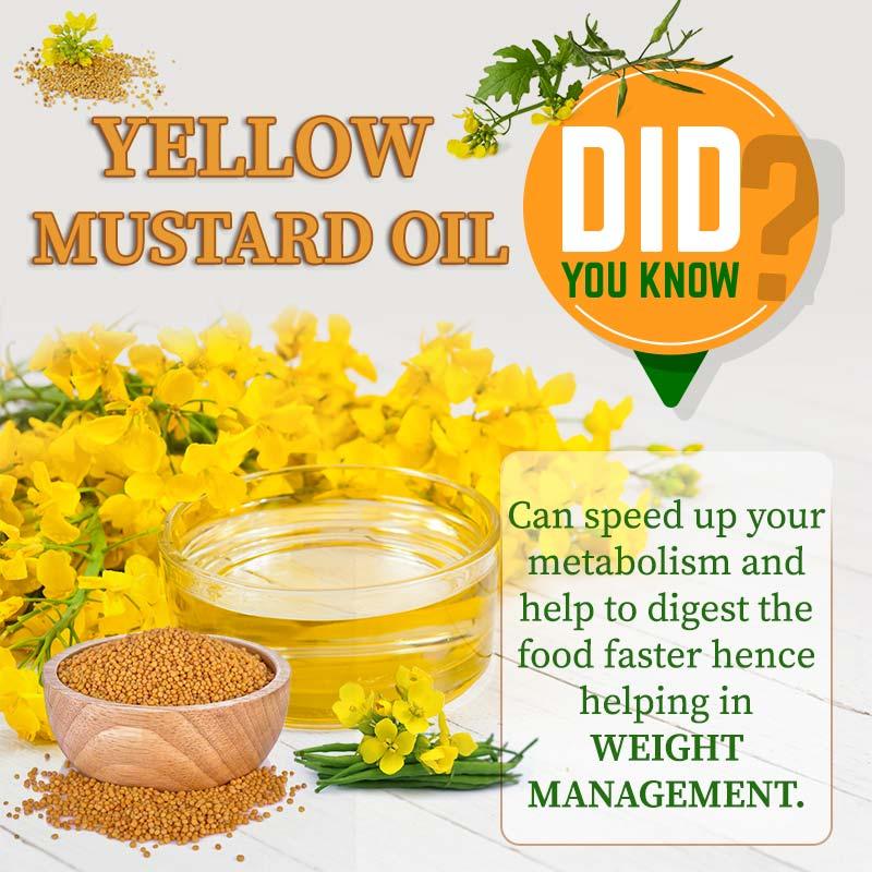Yellow Mustard Oil helping in weight management