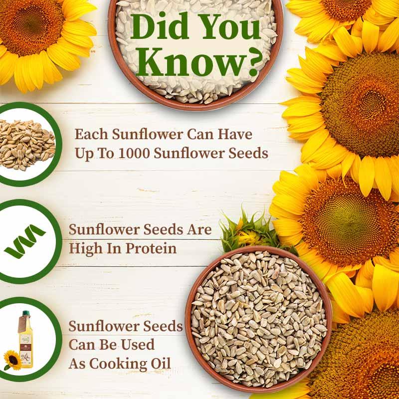 Organic sunflower seeds 