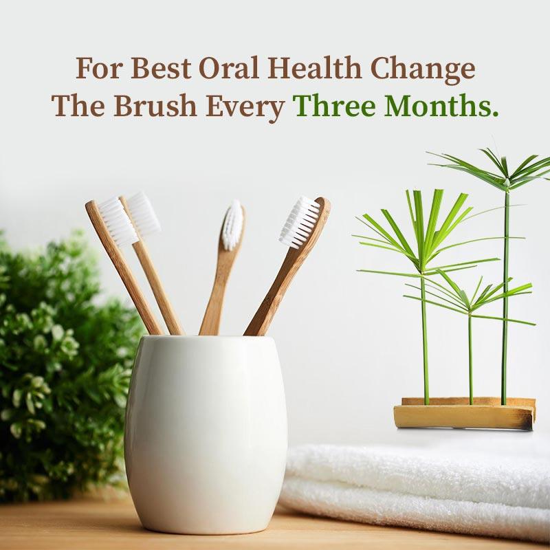 Bamboo toothbrush uses