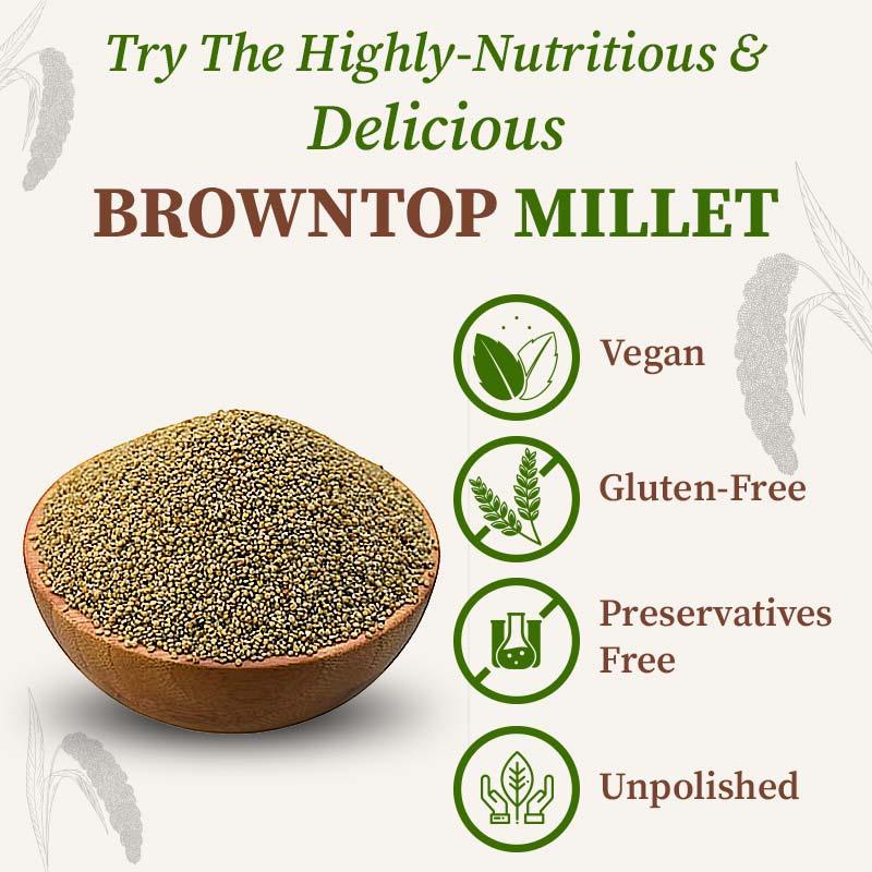Nutritious and delicious browntop millet