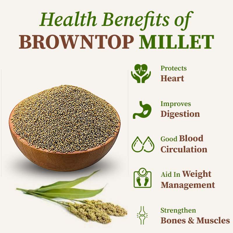 Browntop millet health benefit