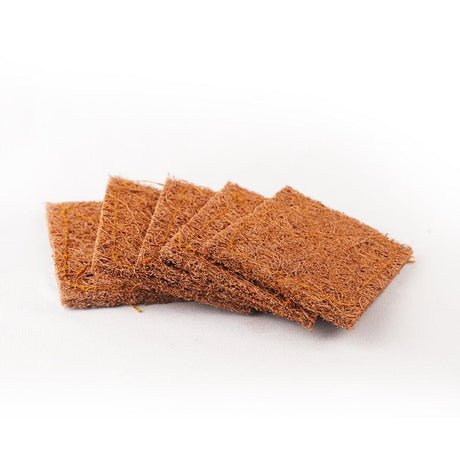 Coconut scrub pad pack of 5