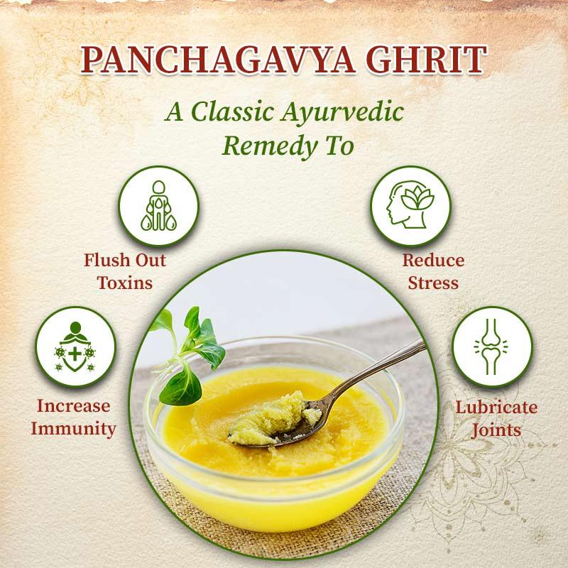 Buy Panchgavya Ghrit: Holistic Wellness in jar – Organic Gyaan