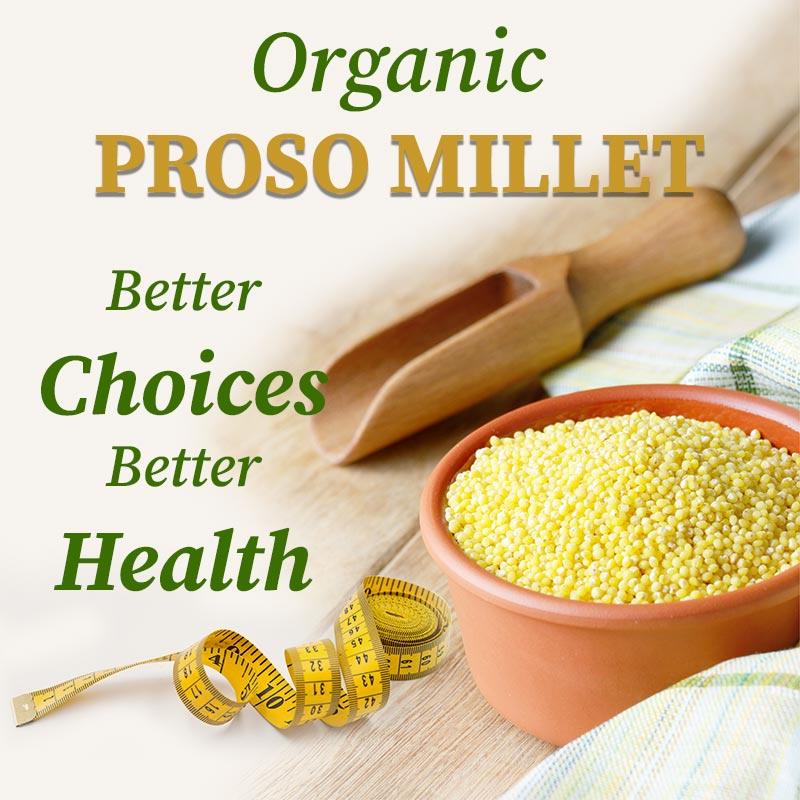 Organic proso millet for better health