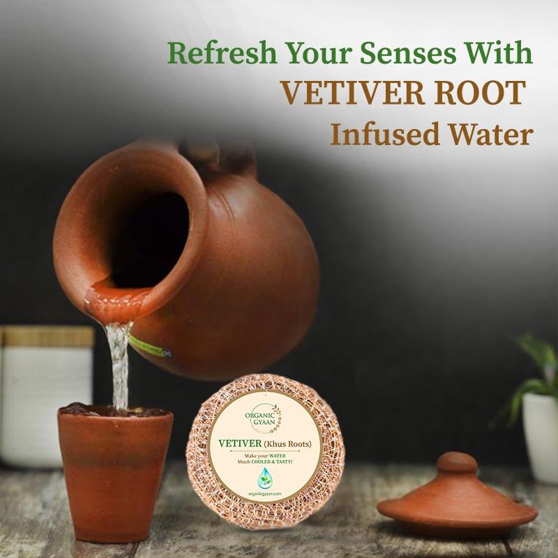 Vetiver Roots - Organic Gyaan