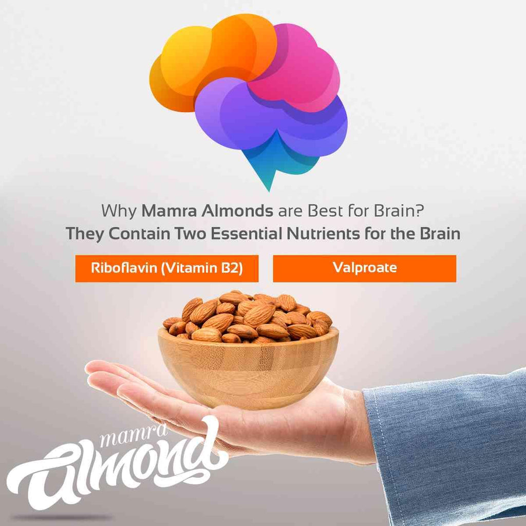 Kashmiri mamra almonds benefits for brain
