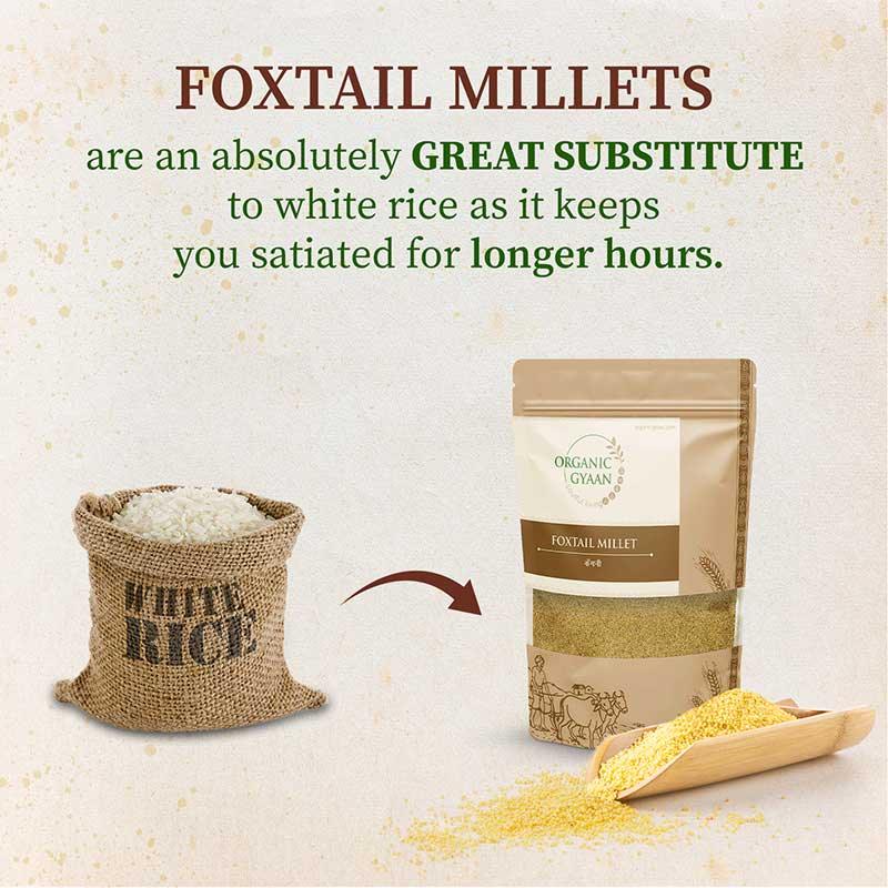 White rice substitute organic foxtail millets