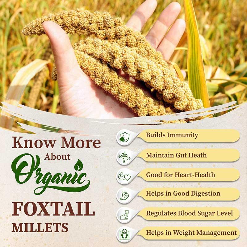 Facts about foxtail millets 