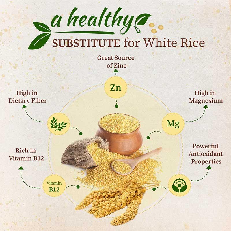 White rice substitute foxtail millet