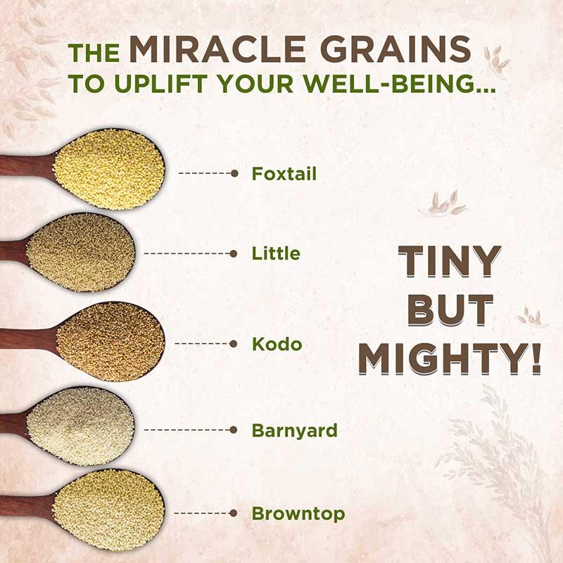 Types of all siridhanya millets