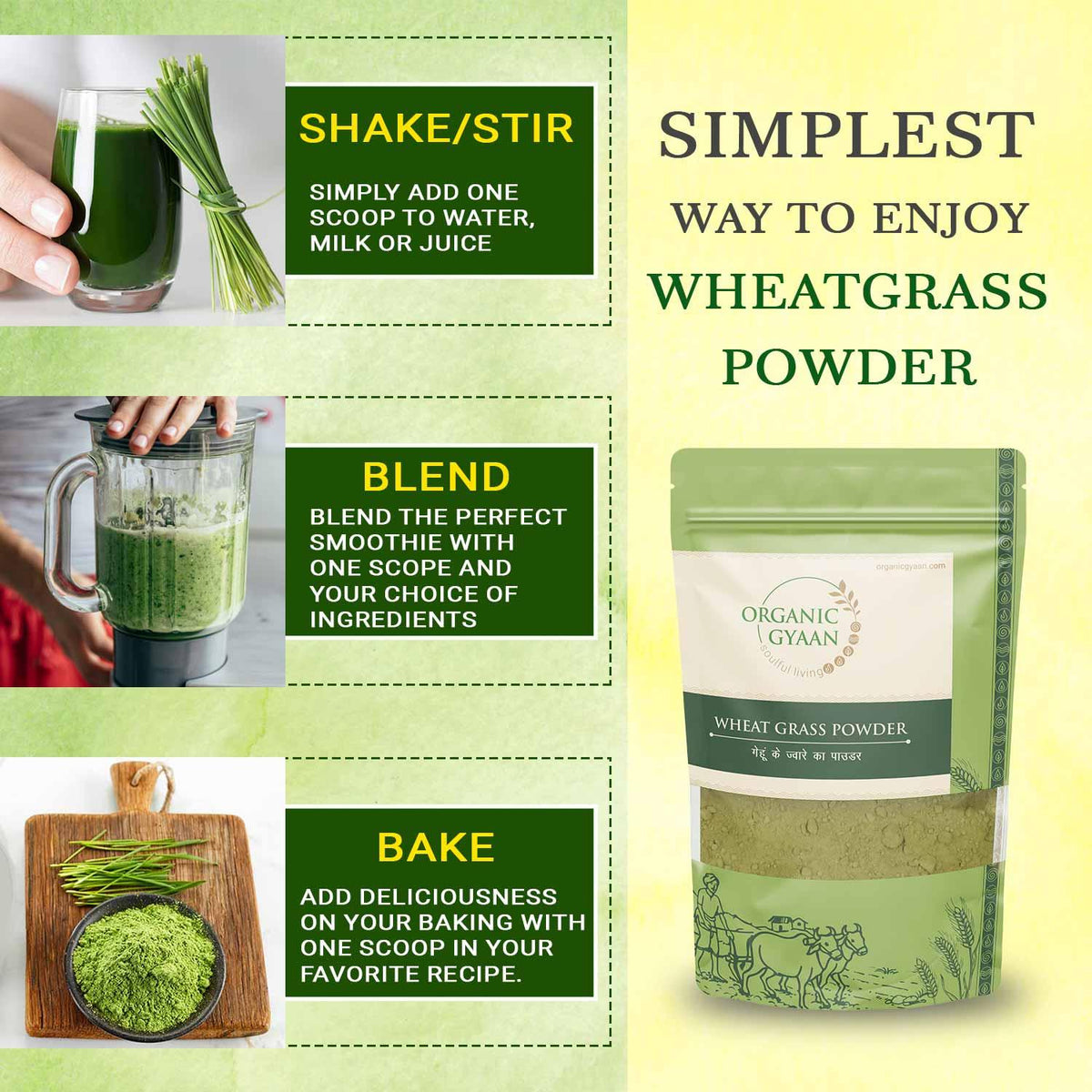 Sweetgrass Root Powder Buy Organic Wheatgrass Powder | Superfood for Health – Organic Gyaan